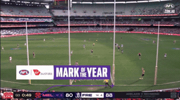 Demons Melbournefc GIF