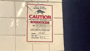 200.gif?cid=fc005b0882aa269a959857e4120816eb73af9dde1795ce3f&rid=200.gif&ct=g