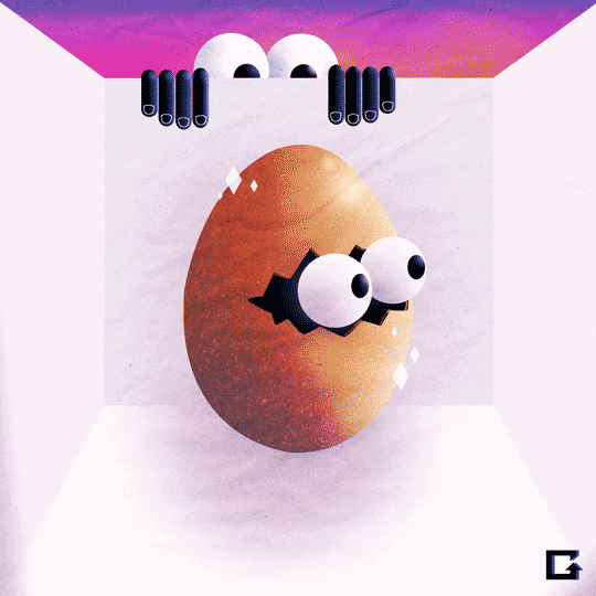 Bird Flu Eggs Gif By gif Find & Share on GIPHY