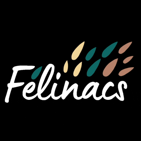 Félinacs GIF