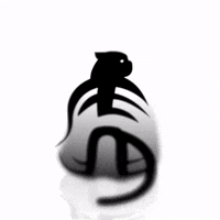 raw-image