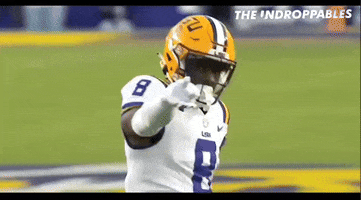 Lsu GIF by The Undroppables