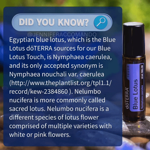 Blue Lotus Touch  doTERRA Essential Oils