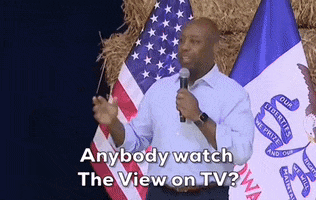 The View Scott GIF by GIPHY News