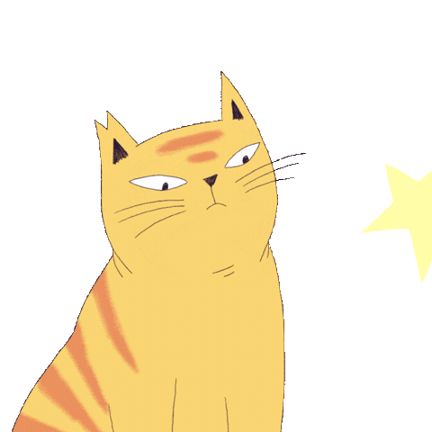 Cat Animation Sticker by aggregat-studio