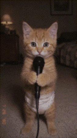 Look At Me Hello GIF