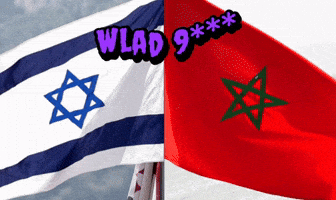 Morocco Dz GIF