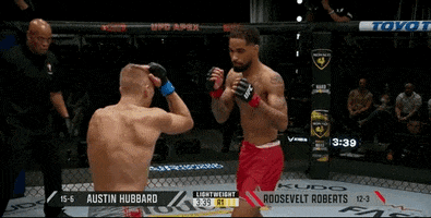 Episode 9 Fight GIF by UFC