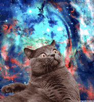space cat nebula GIF