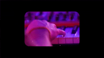 Super 8 Art GIF by Local Natives