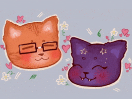 Black Cat GIF