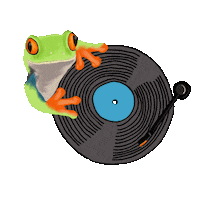 Spin Frog Sticker
