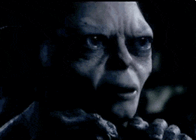 confused the lord of the rings GIF