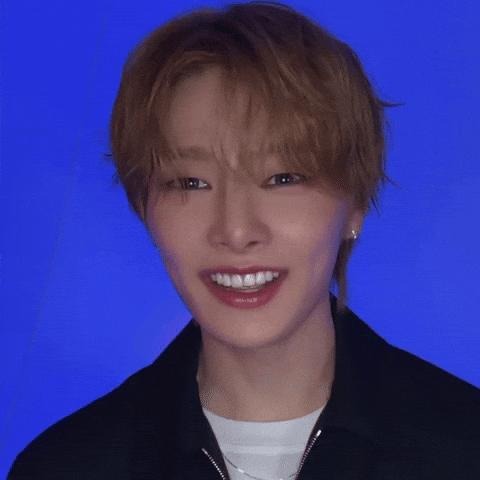 Skz Straykids GIF