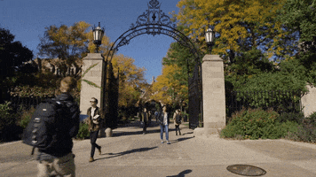 campus GIF by The University of Chicago