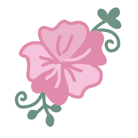 Pumalaca Design Sticker