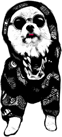 Iggy Sticker