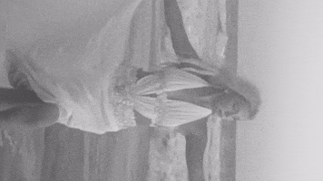 Lyric Video Beautiful Things GIF by Megan Moroney