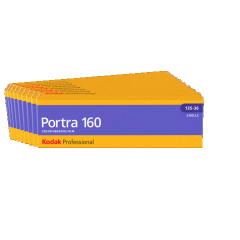 Film Photography Sticker by Kodak Professional