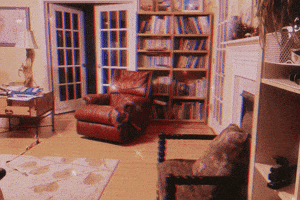 Rizz GIF