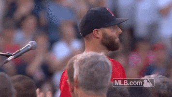 Red Sox Hug GIF by MLB
