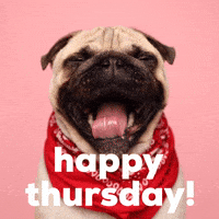 Morning-dog GIFs - Get the best GIF on GIPHY Morning-dog GIFs - Get the best GIF on GIPHY