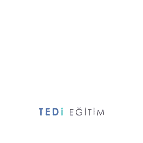 Tedi Egitim Sticker
