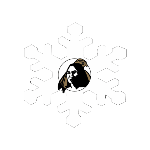 Snow Winter Sticker by UNC Pembroke