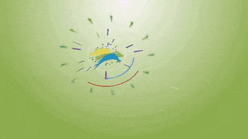 saraviaprogmailcom  GIF