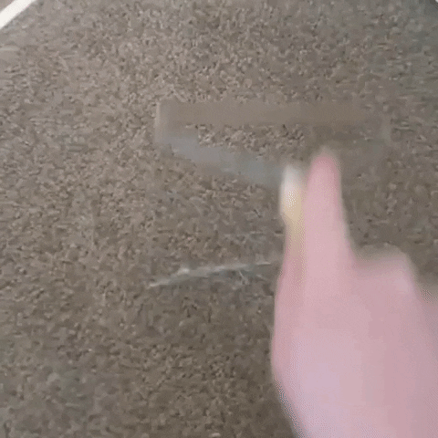 Lintroller GIF