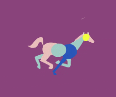 Horse GIF by veri
