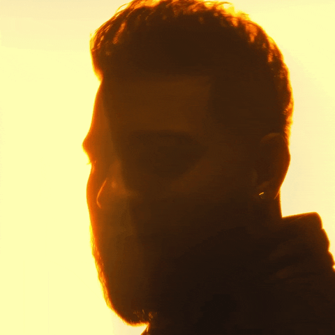 KaranAujlaMusic vibes sunset warm silhouette GIF