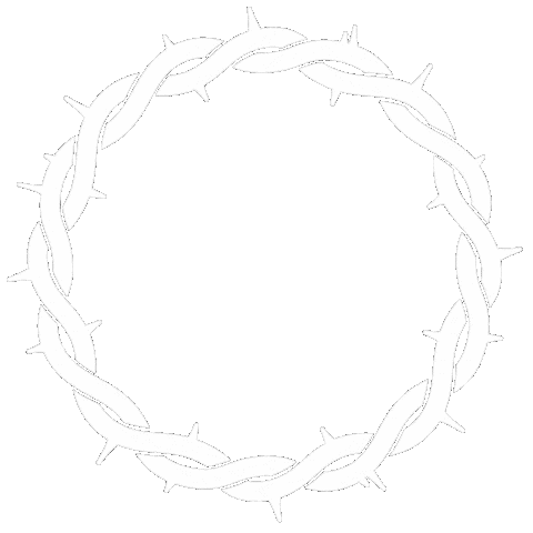 Circle Border Sticker