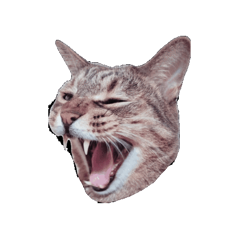 Roar Sticker