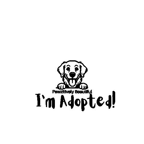 Cat Hearts Sticker by Pawzitively Beautiful