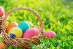 Easter Bunny Trending GIF by Charli Gurl