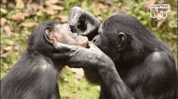grooming true love GIF by NowThis 