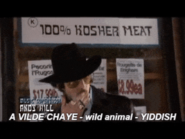 disobey  GIF