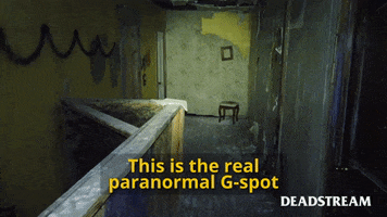 Sexy Haunted House GIF by Deadstream