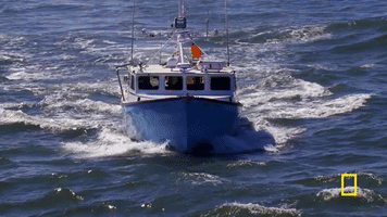 wicked tuna GIF by National Geographic Channel