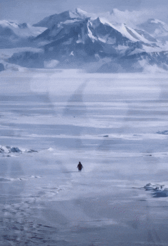 Penguin Mountains GIF