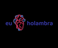 @descubramaisholambra GIF
