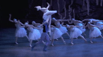 swan lake ballerina GIF by New York City Ballet