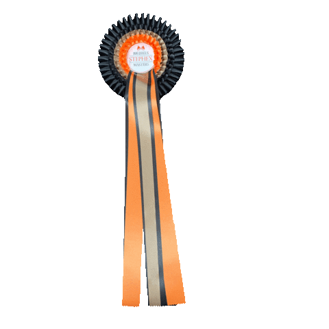 Winner Ribbon Sticker by Brussels Stephex Masters