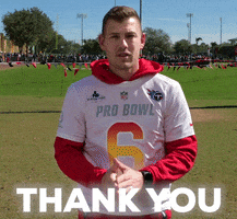 Tennessee Titans Thank You GIF by NFL