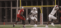 Fresno State Dogs GIF by GetThatVV