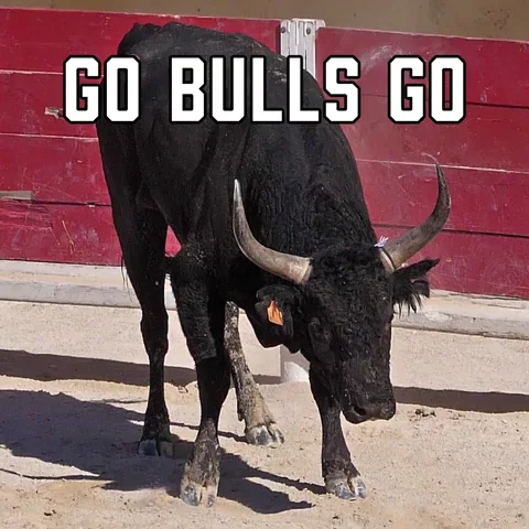 Chicago Bulls Sport GIF