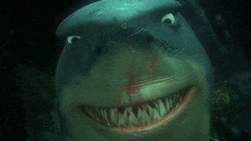 smelling finding nemo GIF