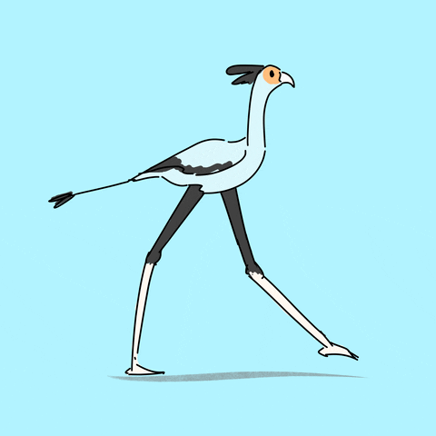 Big Bird Running GIF