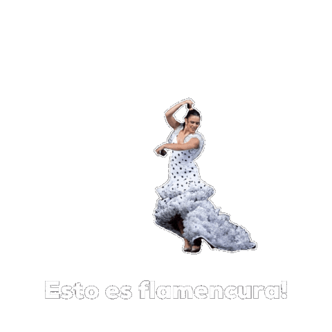 Flamencura Sticker by Festival Arte Flamenco
